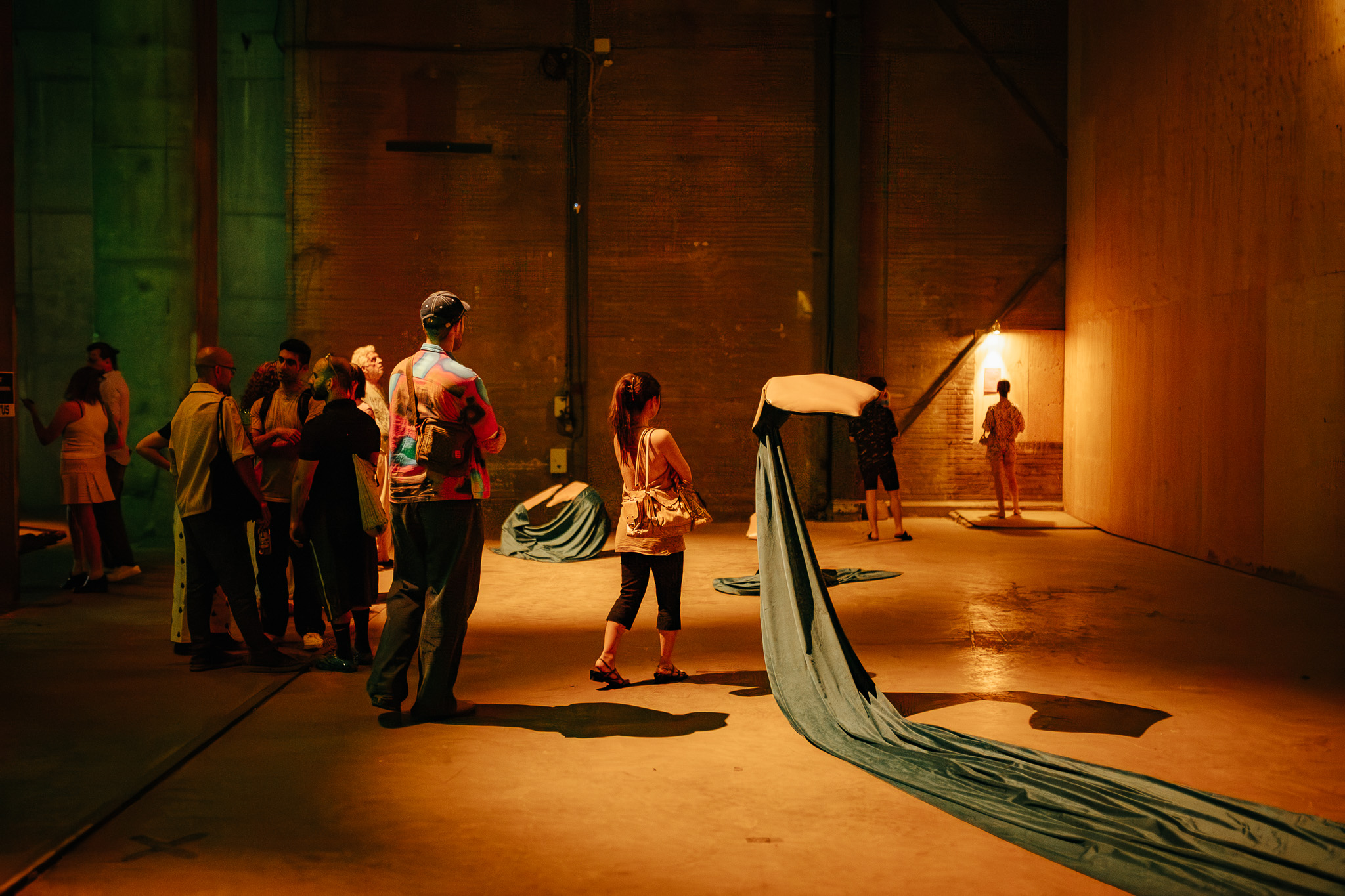 Brutus WSoA 2025 by Aad Hoogendoorn