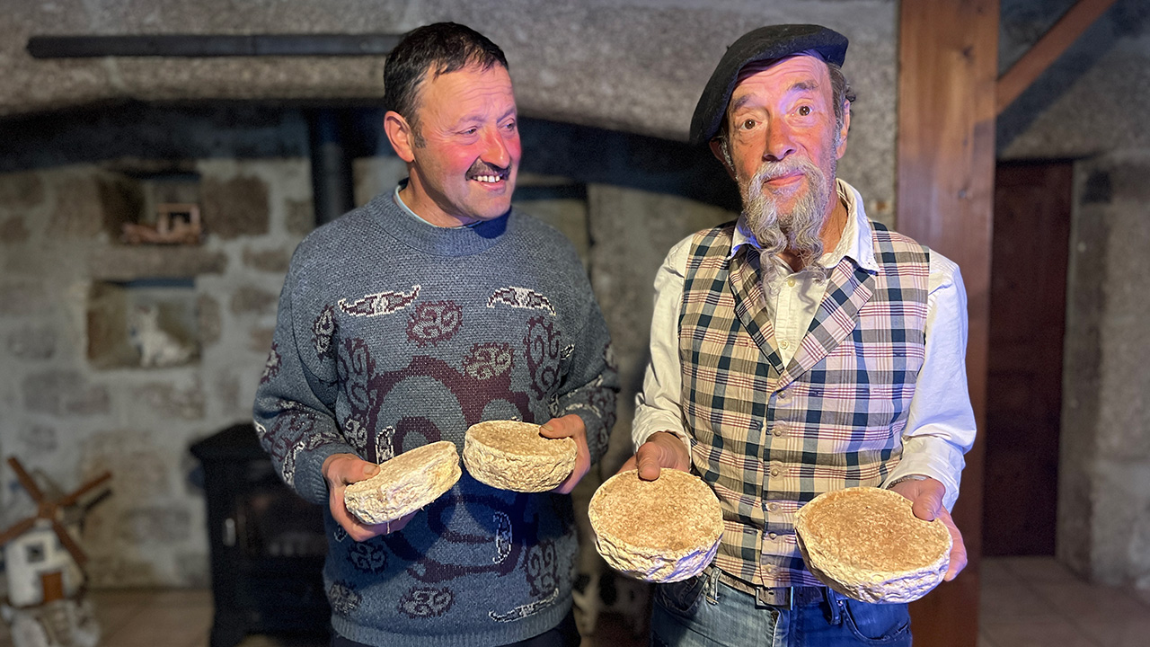 'Levende' Haute-Loire kaas