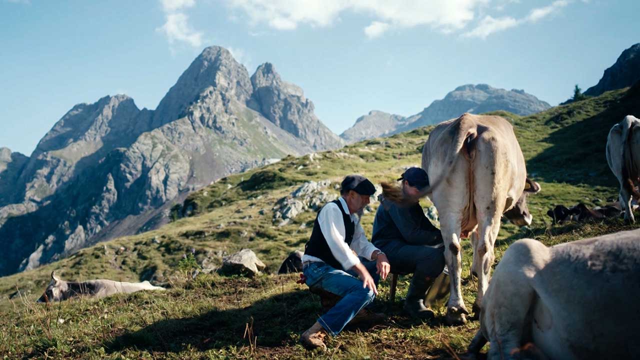 Gort over de Grens in Italië