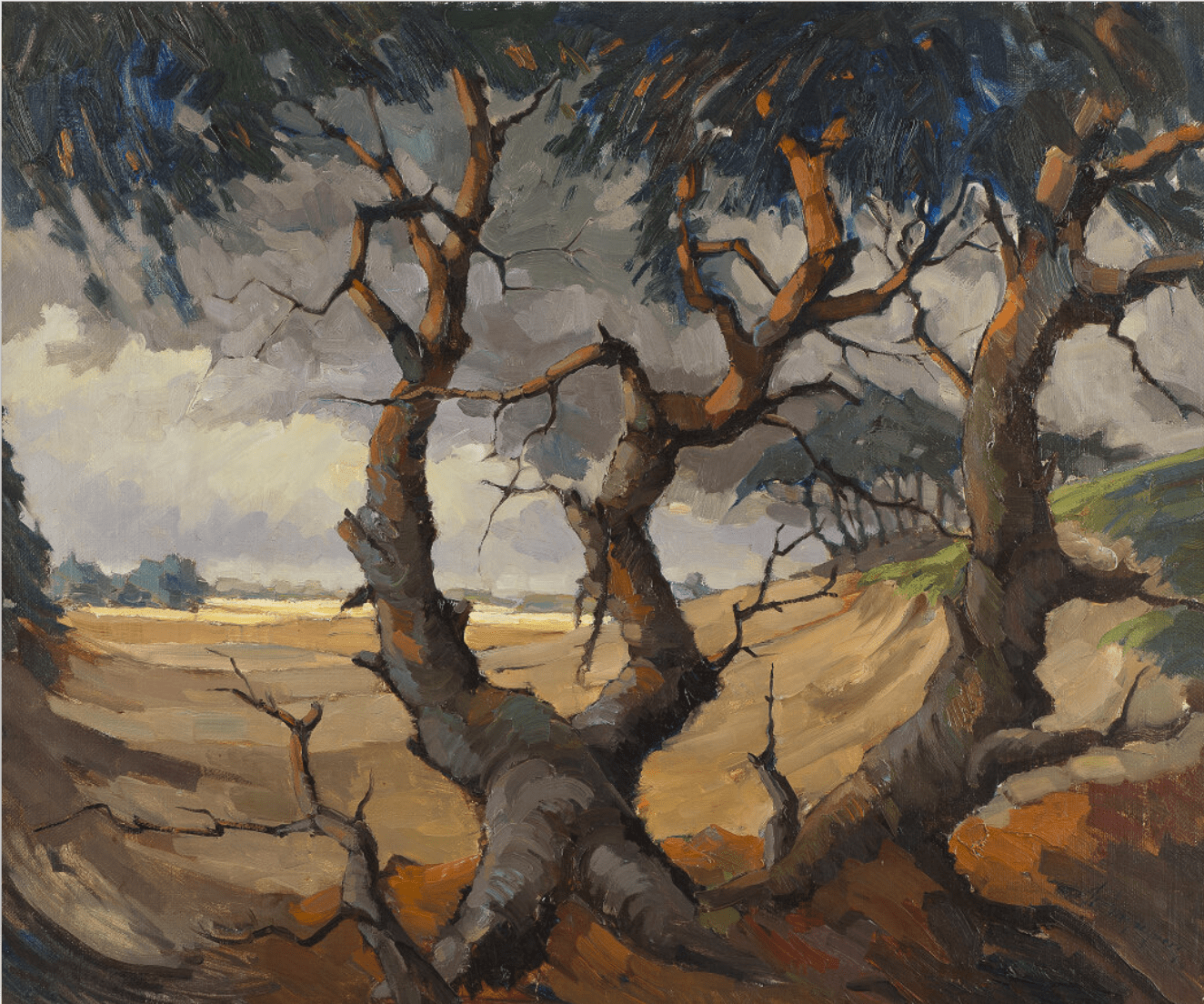 Cor Vrendenberg - Zandverstuiving Bij Hulshorst