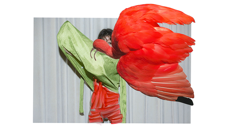 Eudocimus Ruber From the Series of Mud and Lotus 2017 Viviane Sassen and Stevenson