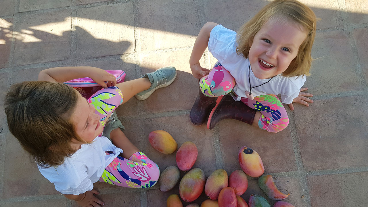 Linne en Jolien zoeken mango's