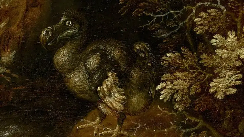 Roelant Savery, detail met de dodo uit Orpheus betovert de dieren met zijn muziek, 1627, Mauritshuis