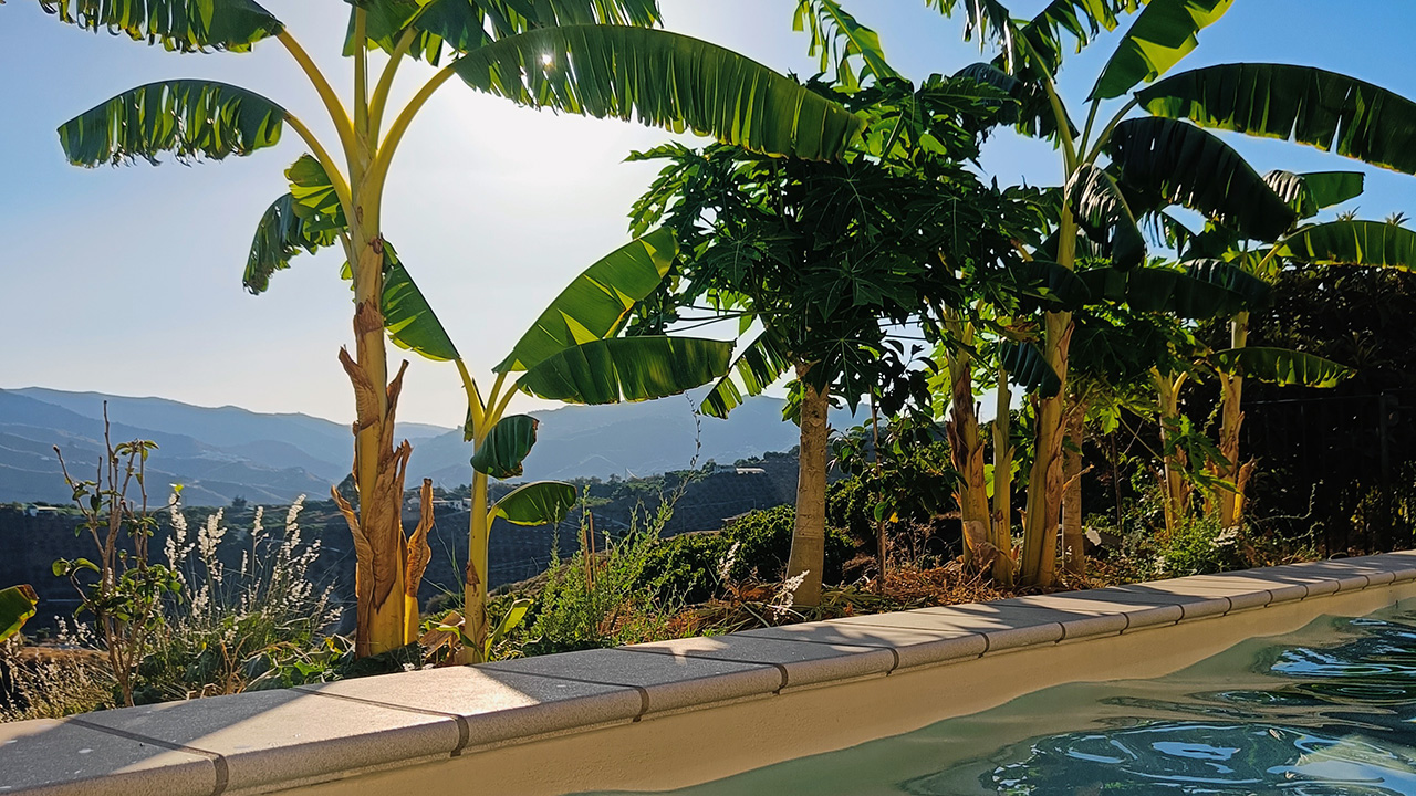 Uitzicht vanuit het zwembad