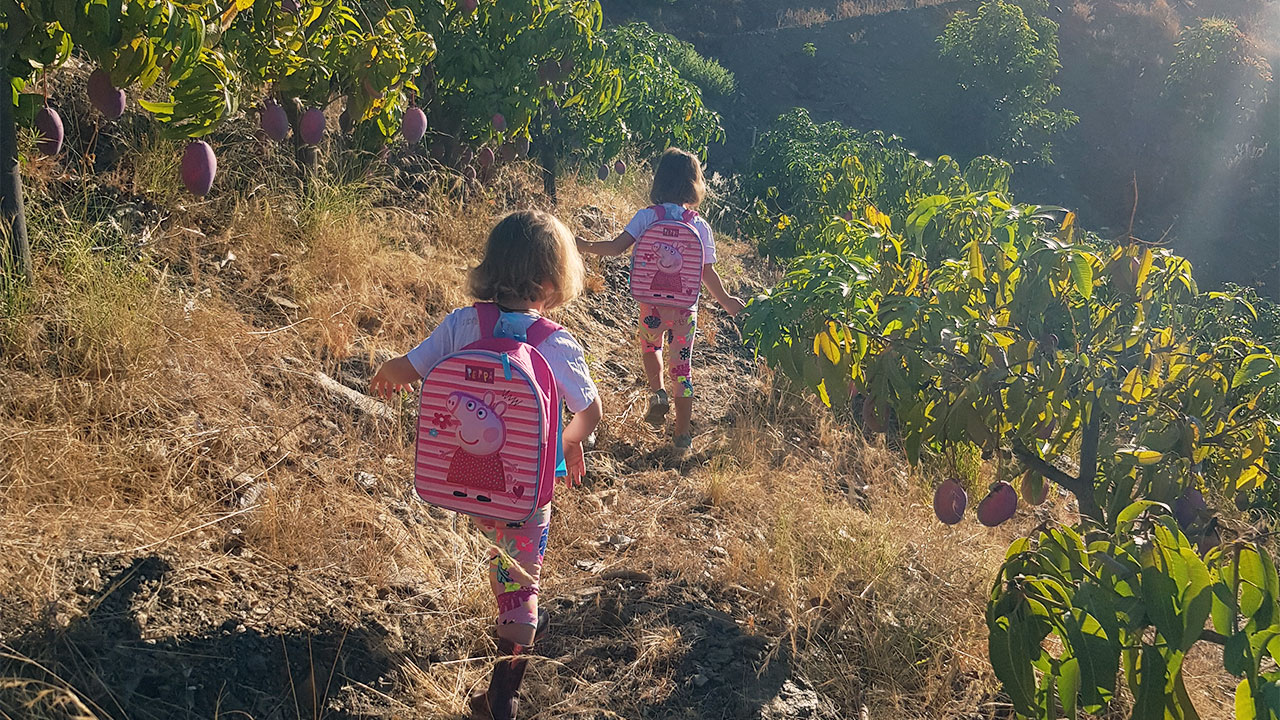 Linne en Jolien zoeken mango's
