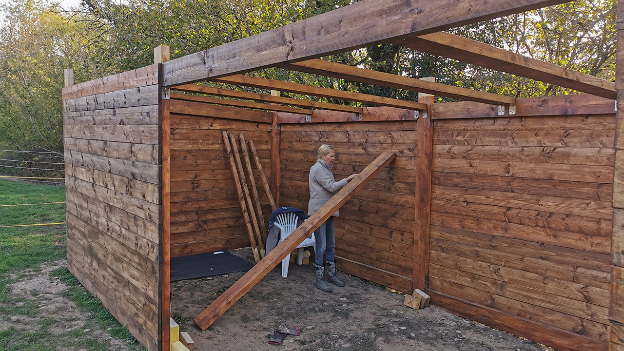 De bouw van de schuilstal