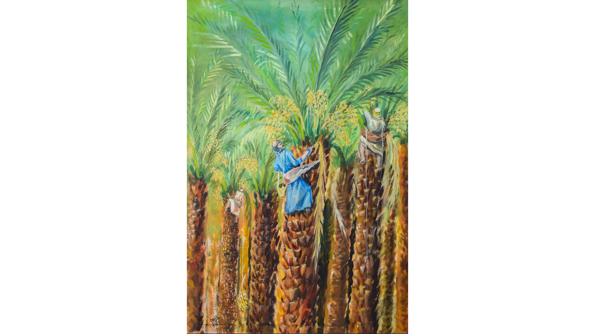 Dadels Oogsten Van Yousif Yaqoub