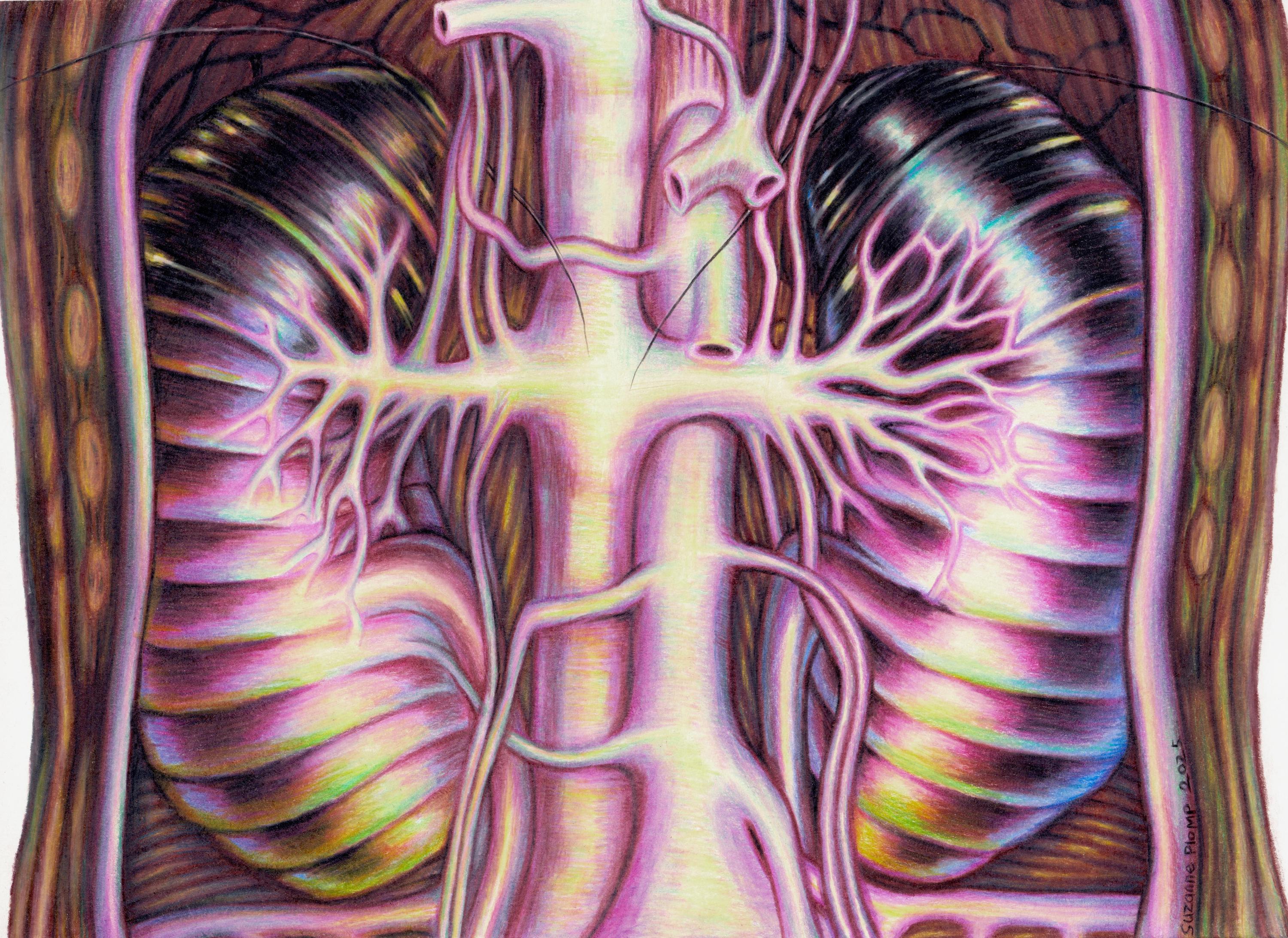 Suzanne Plomp  Snug as a Bug  2025  Colour Pencil on Paper  21 Cm X 29 7 Cm