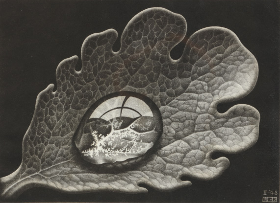 Ets in grijstinten van een dauwdruppel op een blad gemaakt door Escher