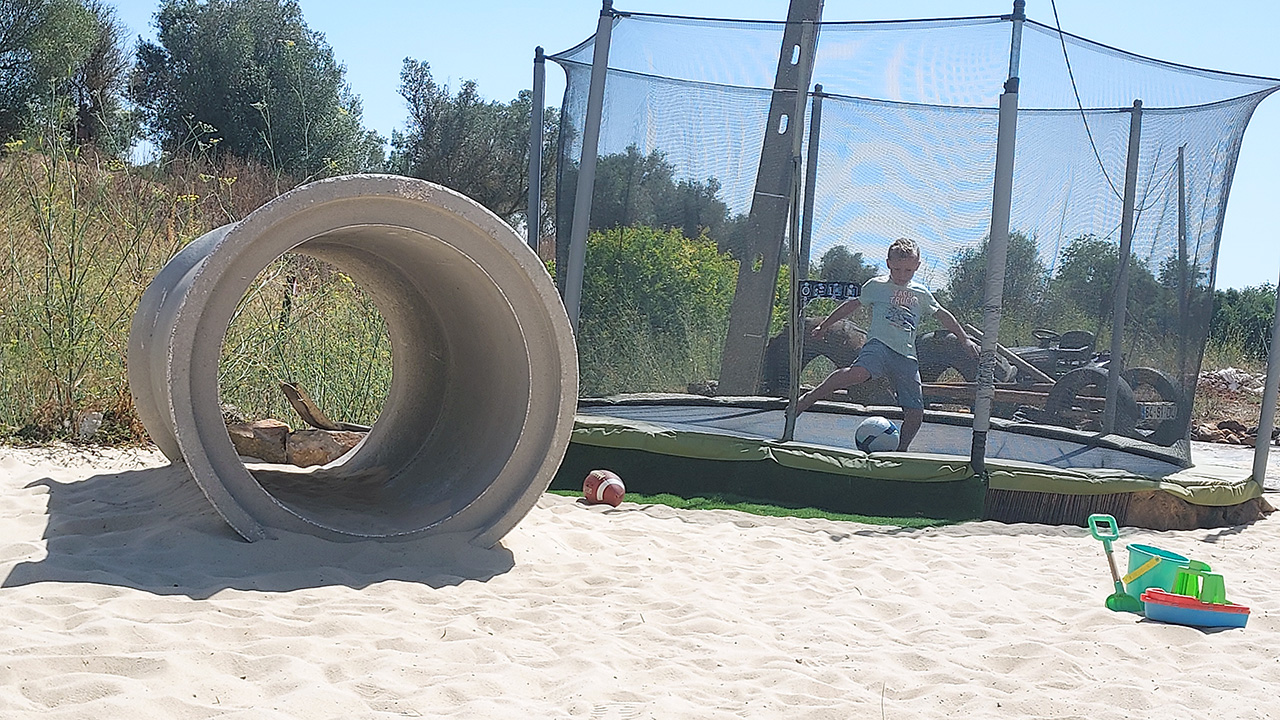 Stein in de speeltuin