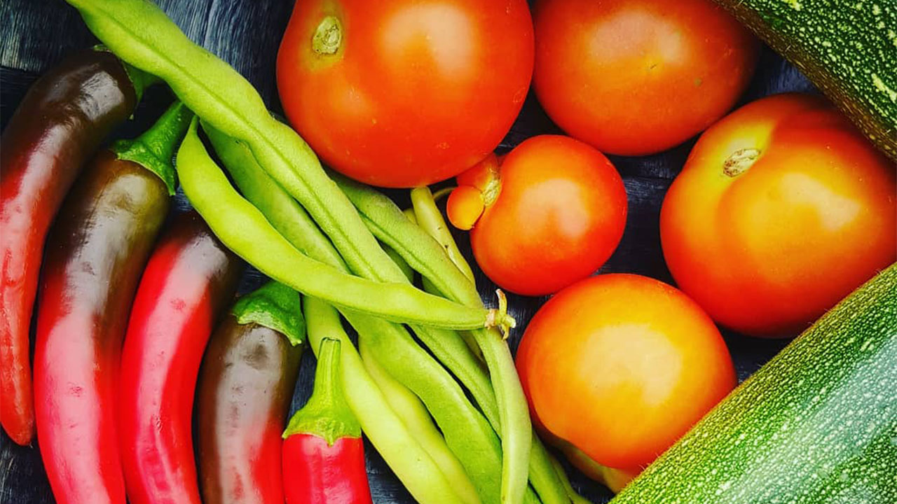 Groente uit de moestuin