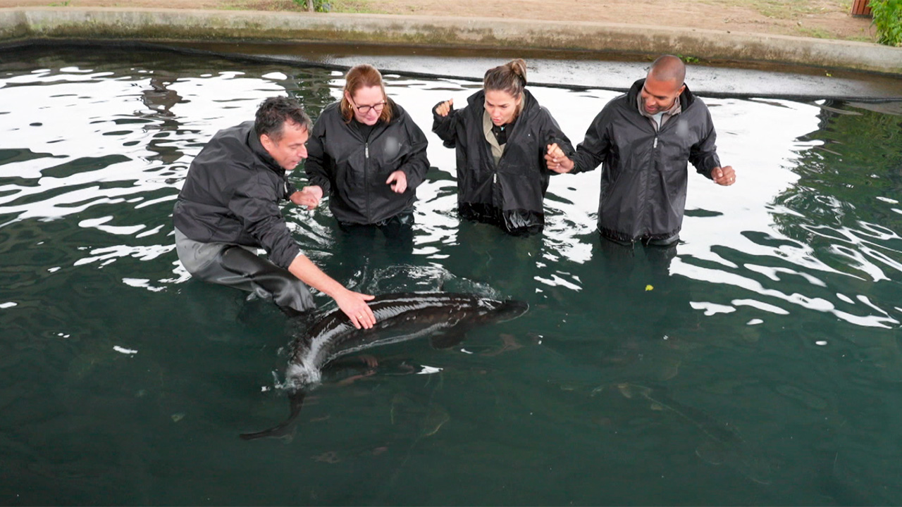 Update Estee Taif Bezoek Frankrijk