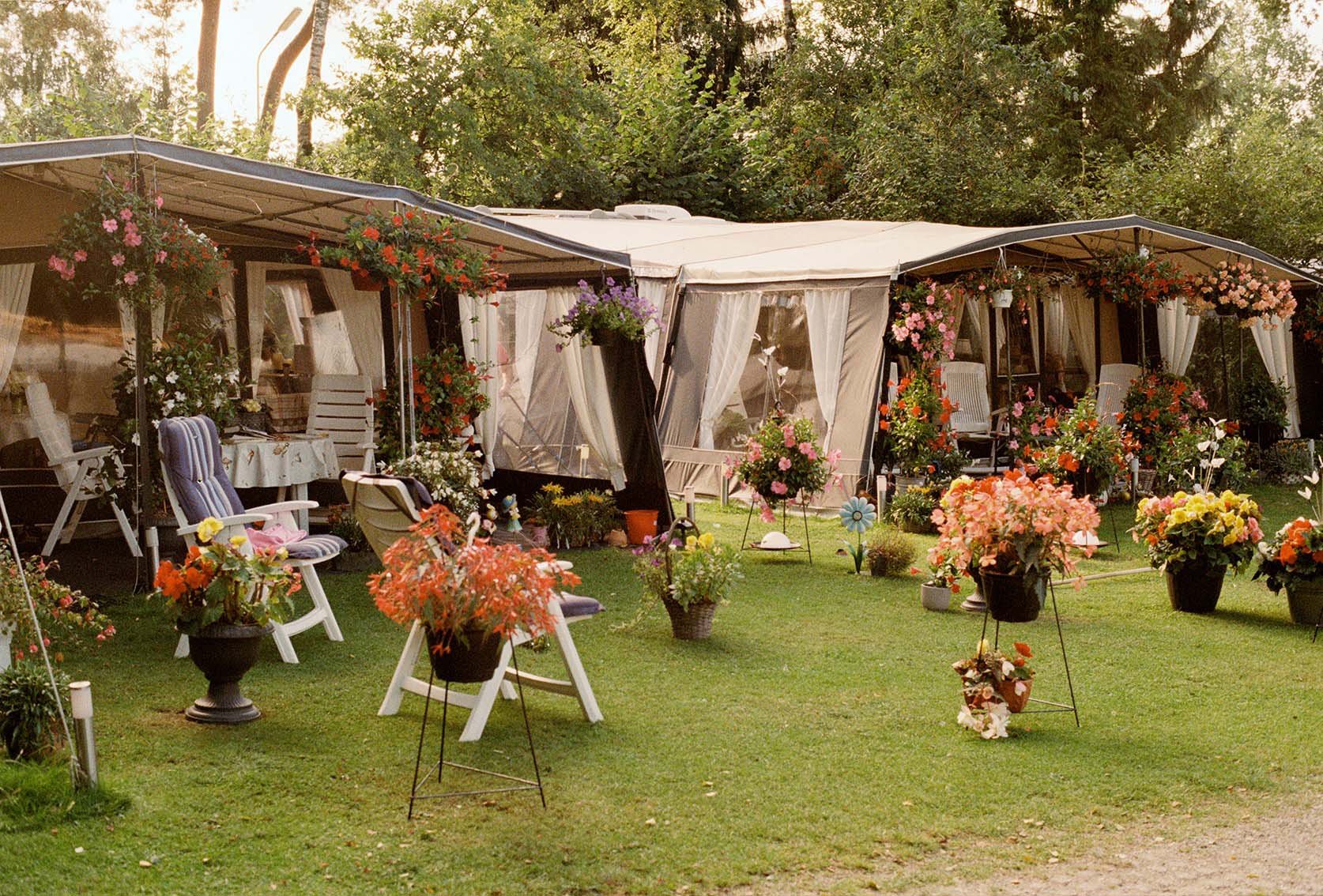 Museum W Shirley Welten